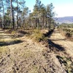 La Xunta invierte 156.000 euros en la mejora de pistas forestales y cortafuegos en montes del distrito I - Ferrol