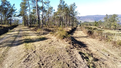 La Xunta invierte 156.000 euros en la mejora de pistas forestales y cortafuegos en montes del distrito I – Ferrol