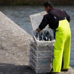 Las ventas de productos del mar con el sello de calidad PescadeRías vuelven en 2021 a niveles prepandemia con cerca de 14.400 toneladas