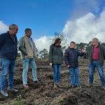 La Xunta invierte cerca de 90.000 euros en la recuperación del potencial forestal de varios montes localizados en la provincia de Pontevedra