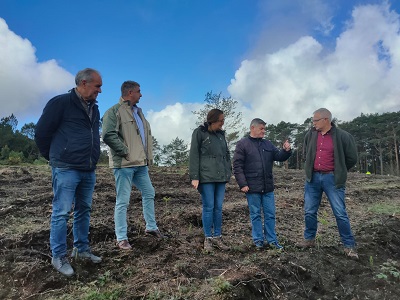 La Xunta invierte cerca de 90.000 euros en la recuperación del potencial forestal de varios montes localizados en la provincia de Pontevedra
