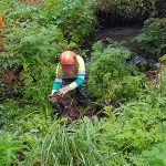 La Xunta finaliza las actuaciones de conservación y limpieza en los trechos interurbanos del río Tinto y del arroyo del Fixo, en el ayuntamiento de Teo