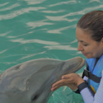 Las mejores excursiones en Cozumel por Dolphin Discovery