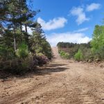 La Xunta invierte 185.000 euros en el acondicionamiento de cortafuegos y pistas forestales en montes del distrito VII de A Fonsagrada-Os Ancares