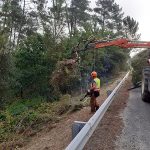 La Xunta publica en el Diario Oficial de Galicia la renovación del encargo a la empresa pública Seaga del control de la biomasa en los márgenes de las carreteras autonómicas, con una inversión de más de 2,2 M€