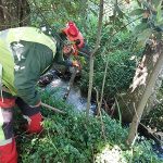 La Xunta realiza actuaciones de conservación y limpieza en los trechos interurbanos de 3 ríos a su paso por el Ayuntamiento de Rianxo