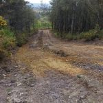 La Xunta invierte más de 150.000 euros en acciones de prevención de incendios forestales en la Terra Chá