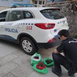 La Policía Autonómica decomisa 21 kilos de percebe en un dispositivo en Ribeira