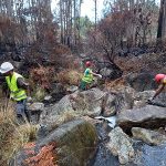 La Xunta trabaja en las zonas afectadas por el fuego en O Barbanza para evitar los arrastres de las cenizas en las áreas límites del arroyo de Castelo y en las del arroyo de As Lobeiras, en Ribeira