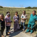 La Xunta completa la primera fase de los trabajos de restauración ecológica para preservar la duna del Parque Natural de Corrubedo