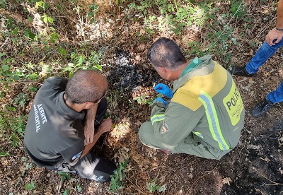 La Unidad de Investigación de Incendios Forestales pilla in fraganti a una mujer en Amoeiro cuando se desplazaba por el monte con pastillas de encendido y un mechero