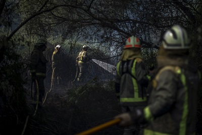 La Xunta recibió 685 solicitudes para optar a las ayudas para la reparación de los daños causados por los incendios de julio por un importe de más de 4,7 M€