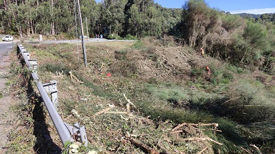 La Xunta iniciará el lunes nuevos trabajos de desbroce y limpieza en las márgenes de 4 vías autonómicas de la provincia de Ourense y seguirá con los iniciados en las de A Coruña, Lugo y Pontevedra