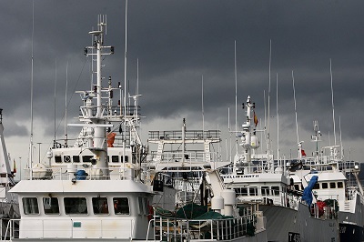Galicia aboga por una alianza con regiones europeas para defender a la flota ante el veto a la pesca de fondo
