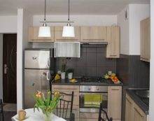 ¿Qué tipo de placa de cocina elegir?
