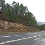 La Xunta inicia este lunes trabajos de desbroce y limpieza en las márgenes de carreteras autonómicas en los ayuntamientos de Ribadavia y de O Porriño
