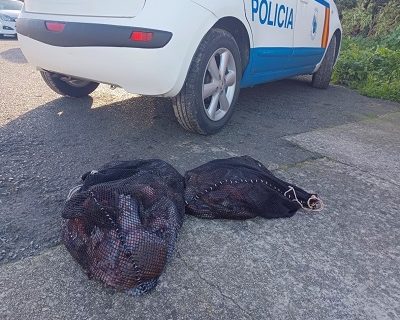 La Policía Autonómica decomisa 90 kilos de pulpo y dos de centollos en la ciudad de A Coruña