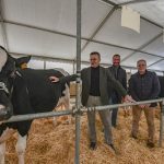 La Xunta hará en 2023 una nueva convocatoria de ayudas para certámenes de ganado bovino selecto
