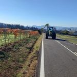 La Xunta continúa esta semana con los trabajos de desbroce y limpieza en las márgenes de carreteras autonómicas de las cuatro provincias