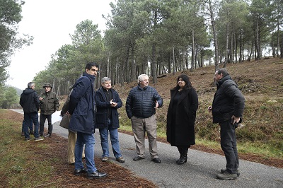 La provincia de Ourense aglutina la mitad de los más de 10 M€ concedidos por la Xunta en 2022 para el fomento de la silvicultura activa