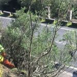 La Xunta inicia este lunes trabajos de desbroce y limpieza en los márgenes de carreteras autonómicas en los ayuntamientos de Moaña y de Sanxenxo