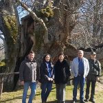 La Xunta pone en valor el Souto de Rozabales como una muestra ejemplar de bosques de castaños centenarios