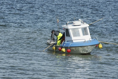Alrededor de 700 profesionales del marisqueo de la ría de Arousa podrán beneficiarse de las ayudas por la parada biológica en los bancos de Os Lombos, Bohído y Cabío