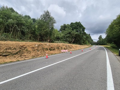 La Xunta iniciará esta semana nuevos trabajos de limpieza en las márgenes de la carretera autonómica OU-902 al paso por los ayuntamientos de O Carballiño y de O Irixo