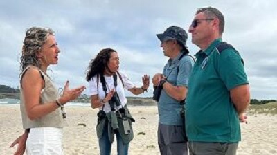 La Xunta suelta en la playa de Esmelle 6 de los más de 30 por los de píllara de las dunas criados en cautividad esta campaña en el Centro de Recuperación de la Fauna de Oleiros