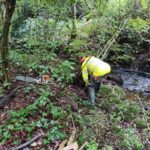 La Xunta realiza trabajos de conservación y limpieza en los tramos interurbanos de tres ríos a su paso por el ayuntamiento de Pontevedra