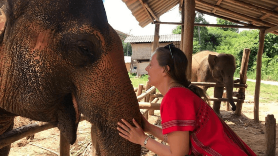 Santuarios de elefantes en Chiang Mai: Un reflejo del amor de Tailandia por la naturaleza y la vida salvaje