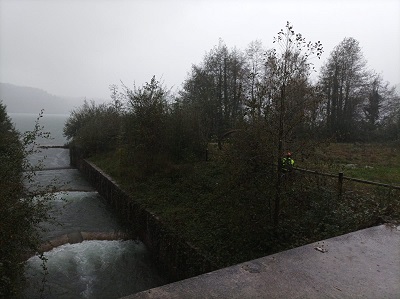 La Xunta ejecuta actuaciones de conservación y limpieza del dominio público hidráulico en el Lago Meirama, en el ayuntamiento de Cerceda