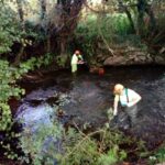 La Xunta realiza trabajos de conservación y limpieza en los trechos interurbanos de los ríos Barosa y Maquieira a su paso por los ayuntamientos de Barro y de Portas