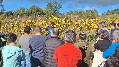 El experto en poda y arquitectura en la vid Julián Palacios imparte una formación en la Estación de Viticultura y Enología de Galicia en Leiro