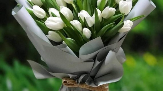 Ramos de tulipanes: Una sinfonía de color