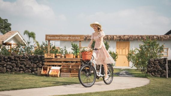 Bicicleta Eléctrica DYU C6: Una revolución en la movilidad urbana, fusionando perfectamente tecnología y comodidad