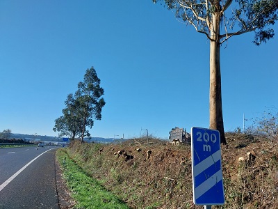 La Xunta comenzará la próxima semana trabajos de limpieza en las márgenes de cinco carreteras autonómicas en las provincias de A Coruña, de Lugo y de Pontevedra