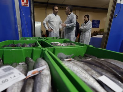 El puerto de Cillero capea las crecientes restricciones a la pesca y se mantiene como gran proveedor de pescado de calidad y capturado de forma sostenible