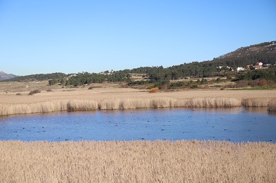El inventario de zonas húmedas de Galicia incorpora 250 espacios más y actualiza la información de 10