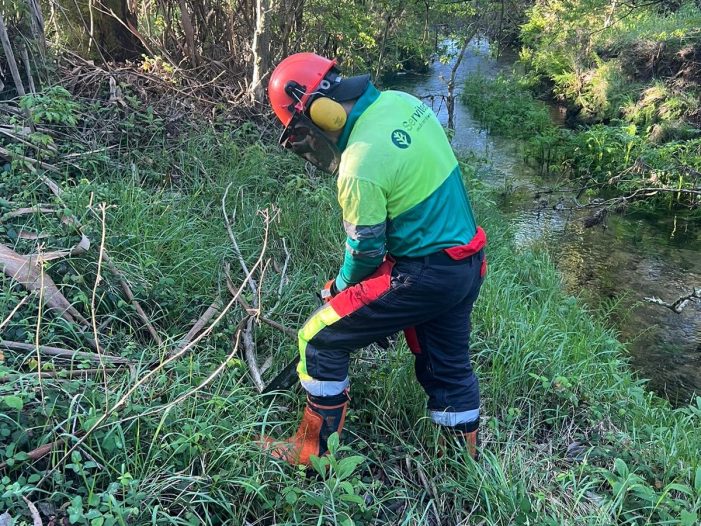 La Xunta realiza actuaciones de conservación y mantenimiento en el río Corzán, a su paso por Negreira