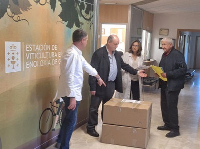 La Xunta entrega injertos de vid a los viveros gallegos para ahondar en la mejora genética de la vid