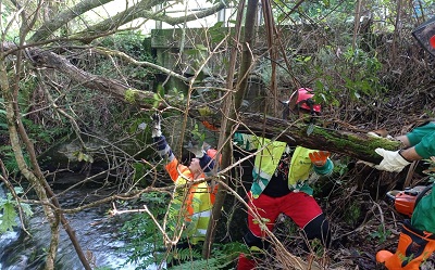 La Xunta realiza labores de conservación y mantenimiento en el río Té, a su paso por el ayuntamiento de Rianxo