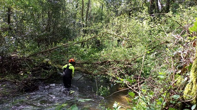 La Xunta realiza labores de conservación y mantenimiento en el río Grande, en los ayuntamientos de Carballo y Coristanco