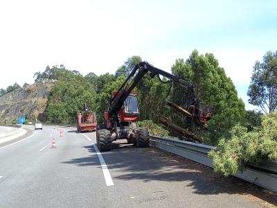 La Xunta inicia la próxima semana trabajos de limpieza en los márgenes de la carretera autonómica LU-862 a su paso por los ayuntamientos de Viveiro y Xove