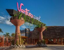 Disfruta Cancún al Máximo: Guía de Lugares Pet Friendly para Viajar con Tu Perro