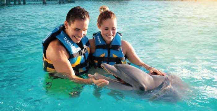 Disfruta de un increíble tour a Isla Mujeres con Dolphin Discovery