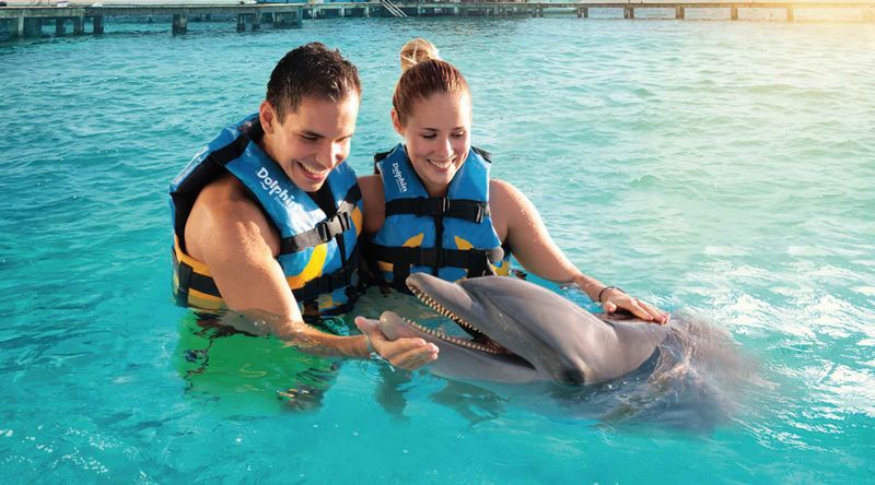 disfruta-de-un-incre-ble-tour-a-isla-mujeres-con-dolphin-discovery